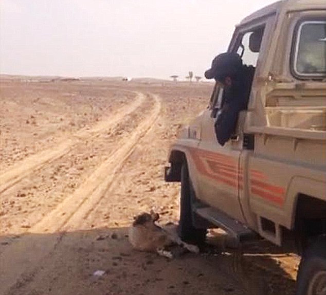 VID: Outrage Over Clip of Man Running Over Dog