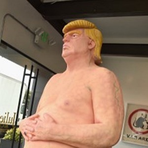 Голого Трампа продали за $28 000
