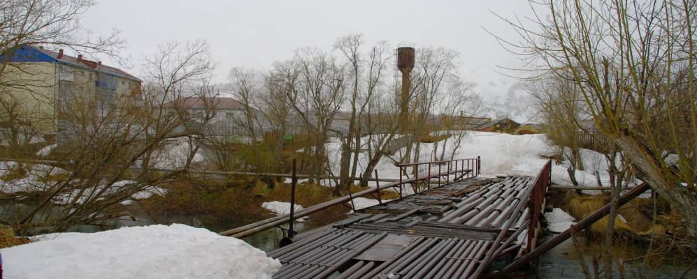 Губернатор Камчатки обещает дать дорогу грибам