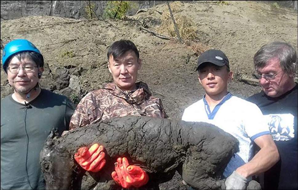 Якутский холодильник порадовал очередной находкой