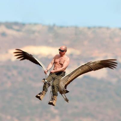 Социалка? Полет нормальный