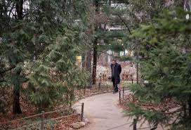 Image result for Moscow wonders where winter has gone as temperatures hit 133-year high