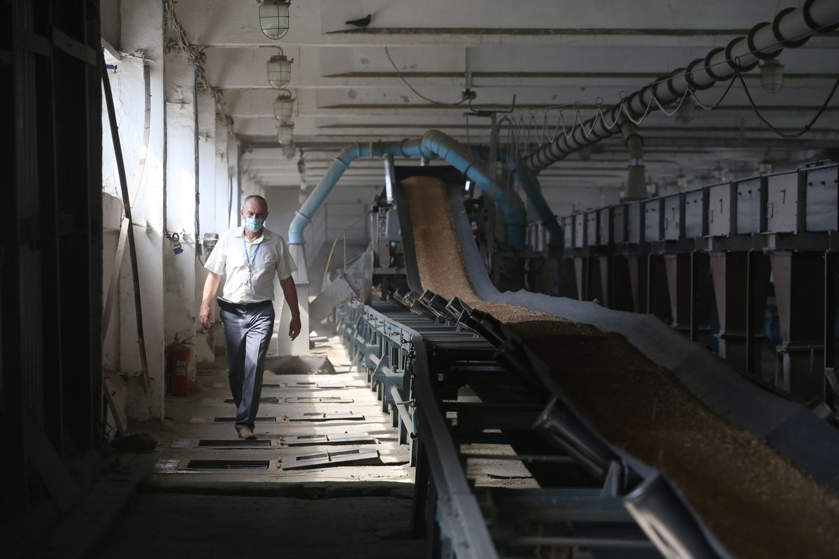 Россия на пути снижения импорта продовольствия при наращивании его экспорта