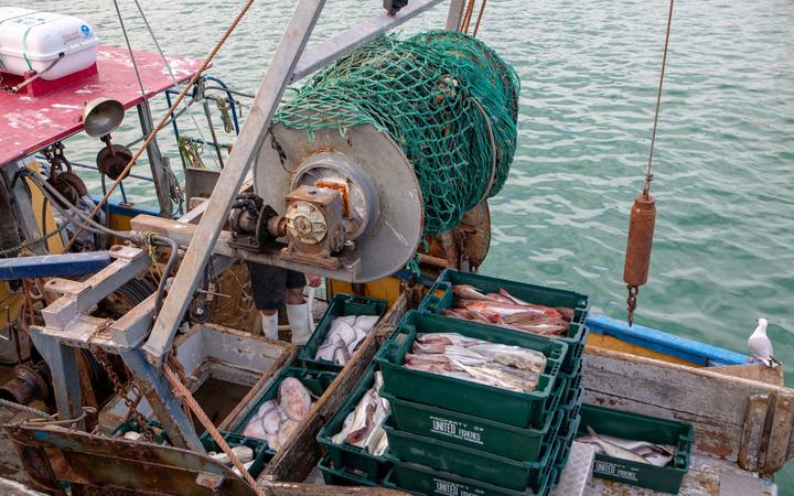 Наши моряки, работающие в Новой Зеландии, получат замену с опозданием