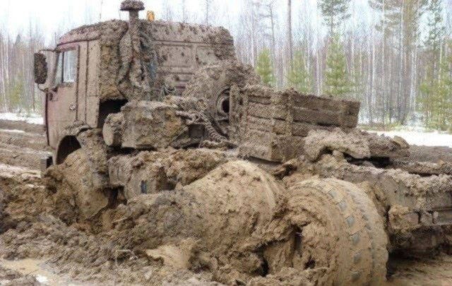 Россия может спать спокойно: дураки не переводятся, как и плохие дороги