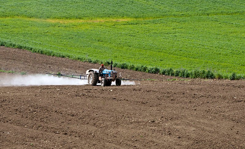 Продукты из Турции набиты вредной химией