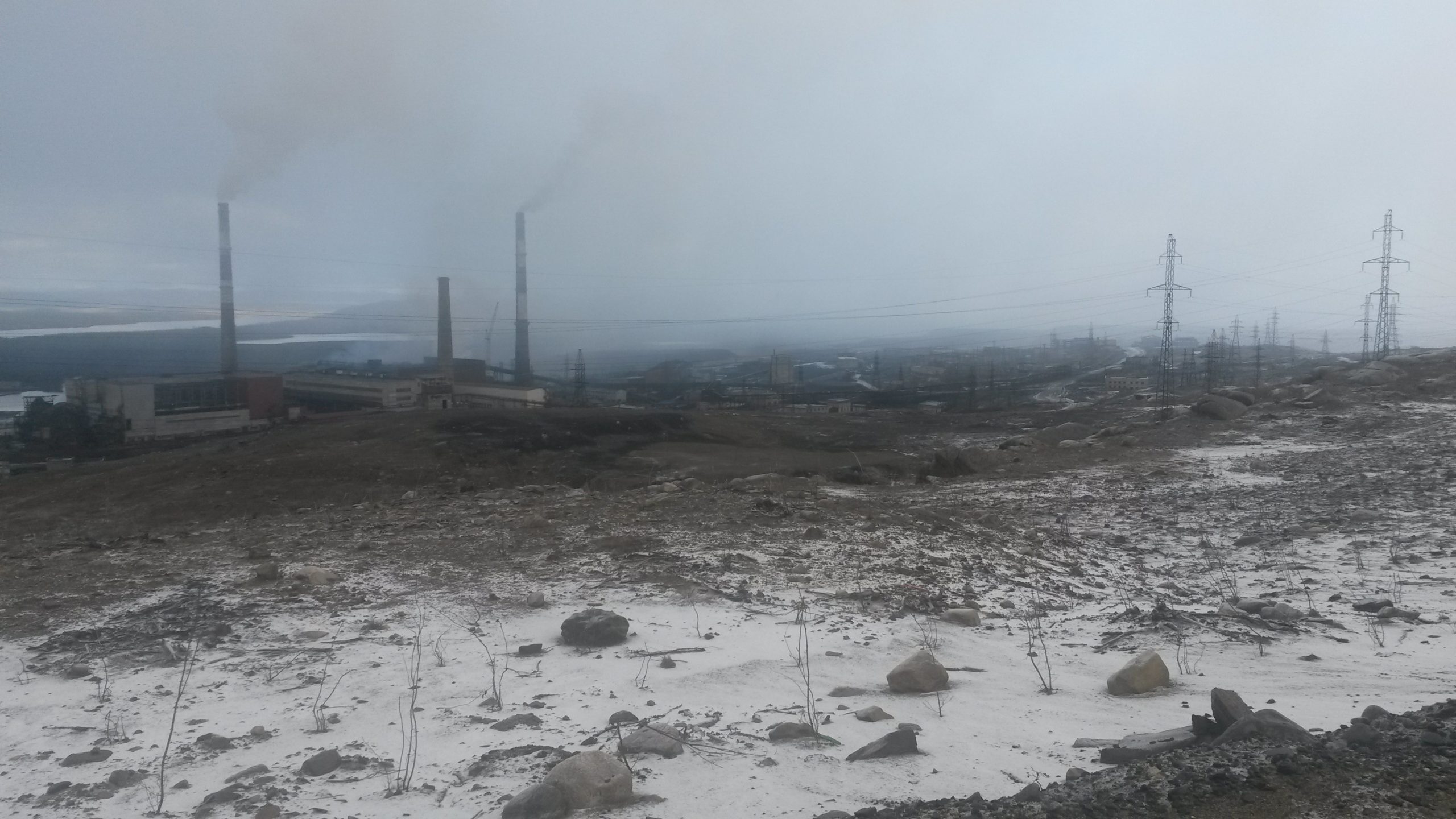 Металлические деньги Потанина не несут экологической составляющей