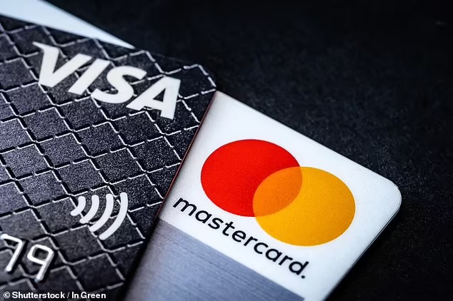 Visa и Mastercard попали на бабки смотав удочки из России