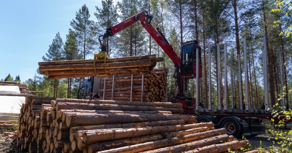 Когда работает лесной кран LOGLIFT 18S щепки не летят
