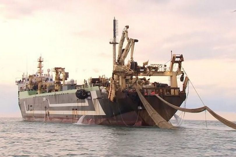 Голландский морской комбайн FV Margiris способен выкосить всю рыбу планеты