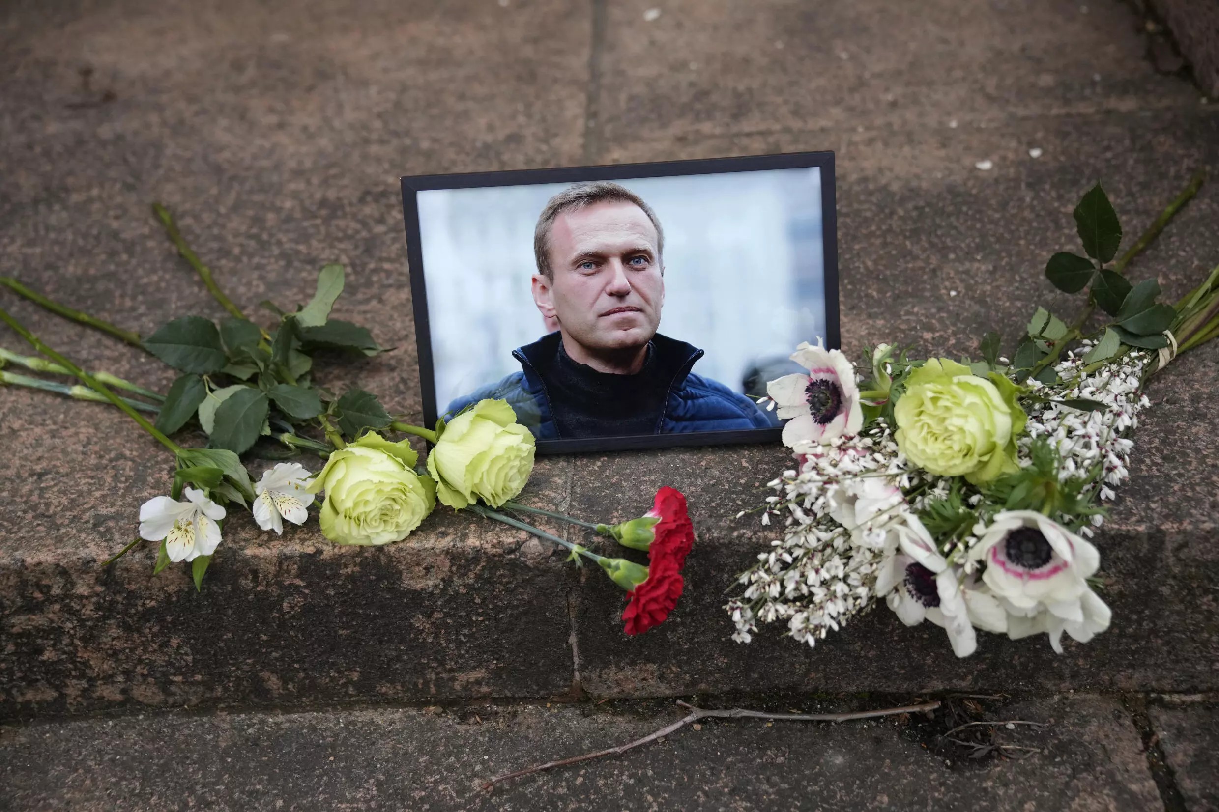 На смерть Навального возбудились пока только посольские
