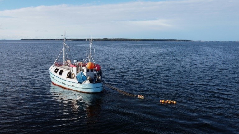 Для Балтийского моря ученые создают кислородную подушку