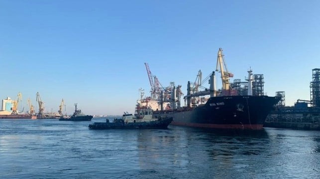Украина намерена поставлять свое зерно в Сирию, вместо России