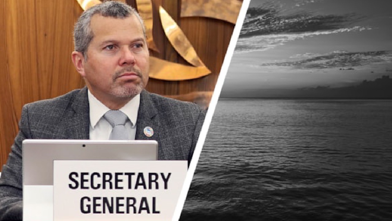 IMO требует прекратить вооруженный разбой в Черном море