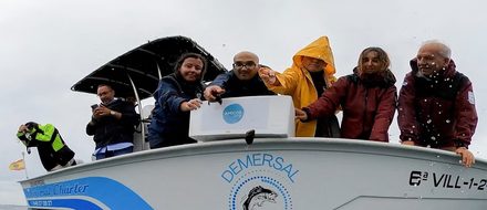 Когда европейцы выловят осьминогов, в воде ничего не останется, кроме медуз