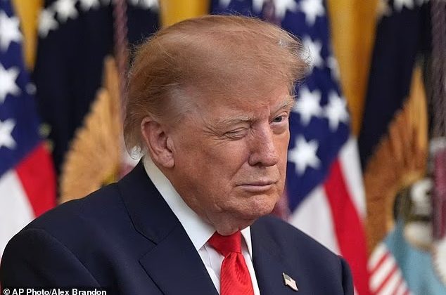 Зеленский обращается с Трампом, как с хромой уткой