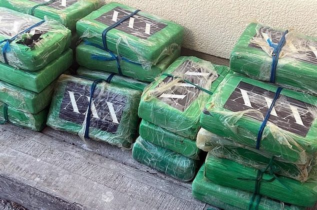 Квадратный окунь стоимостью $20 000, желаемый улов для каждого рыбака Флориды
