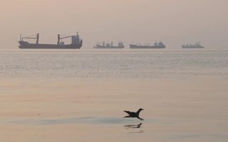 Не исключено, что в заливе на минах подорвались три танкера